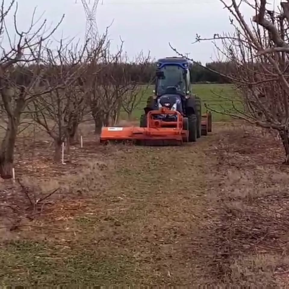 Εργασία σε δενδρώνα